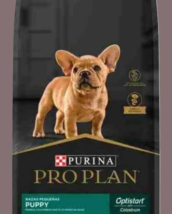 Pro Plan Puppy (cachorro) Raza Pequeña 7.5 Kg