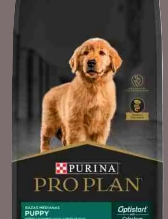 Pro Plan Puppy (cachorro) Raza Mediana 12 Kg
