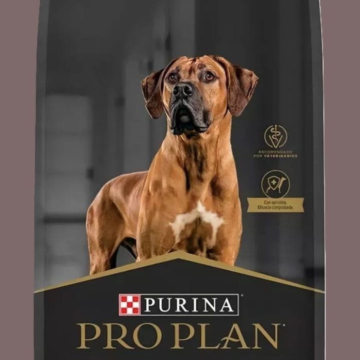 Pro Plan Raza Grande 12 Kg